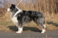 /album/rodice-a-braskove/a20120317-8377-jpg/